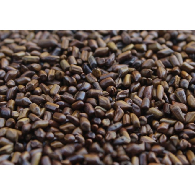 Cassia Seed Kernel Tea